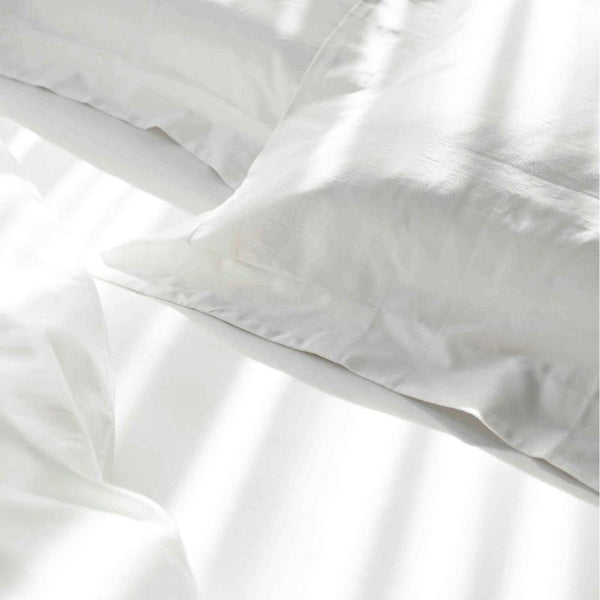 最高品質の綿「DCH32」とは｜シエルプレーン